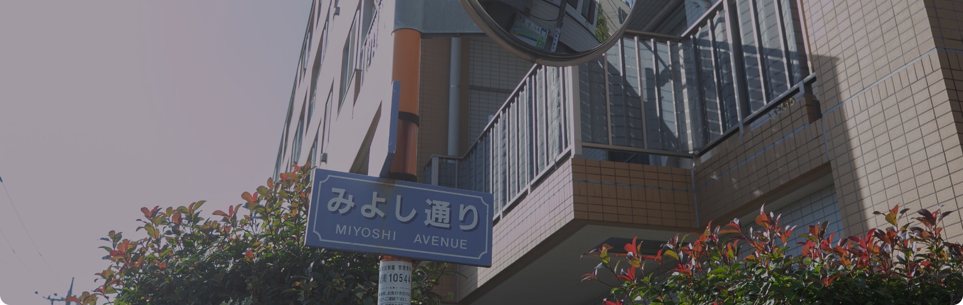 http://医院情報